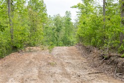 property photo for Sleepy Hollow Phase II Tract 98, 5.9 acres for sale in Texas County, Missouri