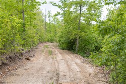 property photo for Sleepy Hollow Phase II Tract 98, 5.9 acres for sale in Texas County, Missouri