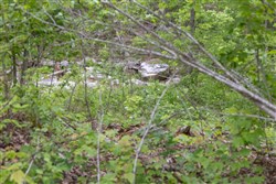 property photo for Sleepy Hollow Phase II Tract 98, 5.9 acres for sale in Texas County, Missouri