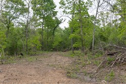 property photo for Sleepy Hollow Phase II Tract 98, 5.9 acres for sale in Texas County, Missouri