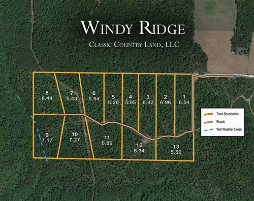 Tract layout map for Windy Ridge Tract 10 in Texas County, Missouri