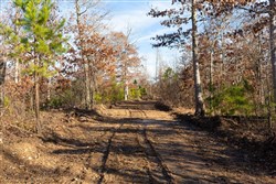 property photo for Windy Ridge Tract 11, 6.89 acres for sale in Texas County, Missouri