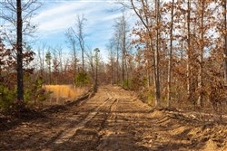 property photo for Windy Ridge Tract 6, 5.94 acres for sale in Texas County, Missouri