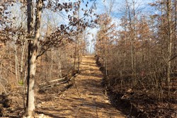 property photo for Windy Ridge Tract 8, 6.44 acres for sale in Texas County, Missouri