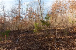 property photo for Windy Ridge Tract 8, 6.44 acres for sale in Texas County, Missouri