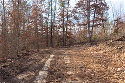property photo for Windy Ridge Tract 8, 6.44 acres for sale in Texas County, Missouri