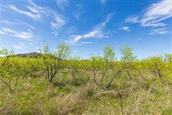 property photo for Hackberry Fields Tract 2, 5.04 acres for sale in Greer County, Oklahoma