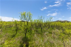 property photo for Hackberry Fields Tract 2, 5.04 acres for sale in Greer County, Oklahoma