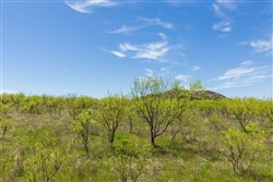 property photo for Hackberry Fields Tract 2, 5.04 acres for sale in Greer County, Oklahoma