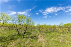 property photo for Hackberry Fields Tract 2, 5.04 acres for sale in Greer County, Oklahoma