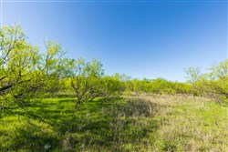 property photo for Hackberry Fields Tract 21, 8.32 acres for sale in Greer County, Oklahoma