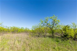 property photo for Hackberry Fields Tract 21, 8.32 acres for sale in Greer County, Oklahoma
