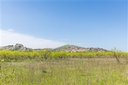 property photo for Hackberry Fields Tract 23, 4.18 acres for sale in Greer County, Oklahoma