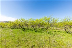 property photo for Hackberry Fields Tract 23, 4.18 acres for sale in Greer County, Oklahoma