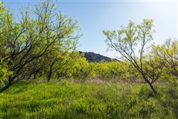 property photo for Hackberry Fields Tract 26, 5.41 acres for sale in Greer County, Oklahoma