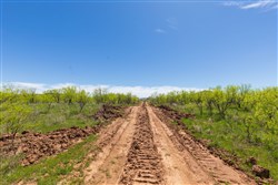 property photo for Hackberry Fields Tract 4, 5.04 acres for sale in Greer County, Oklahoma