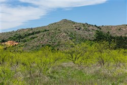property photo for Hackberry Fields Tract 5, 4.92 acres for sale in Greer County, Oklahoma