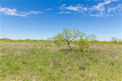 property photo for Hackberry Fields Tract 5, 4.92 acres for sale in Greer County, Oklahoma