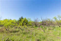 property photo for Hackberry Fields Tract 8, 5.04 acres for sale in Greer County, Oklahoma