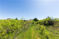 property photo for Hackberry Fields Tract 8, 5.04 acres for sale in Greer County, Oklahoma