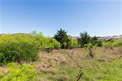 property photo for Hackberry Fields Tract 8, 5.04 acres for sale in Greer County, Oklahoma