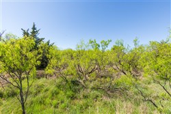 property photo for Hackberry Fields Tract 8, 5.04 acres for sale in Greer County, Oklahoma