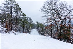 property photo for Stone Bridge Phase IV Tract 222, 8.35 acres for sale in LatimerHaskell County, Oklahoma