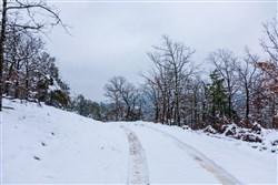 property photo for Stone Bridge Phase IV Tract 222, 8.35 acres for sale in LatimerHaskell County, Oklahoma