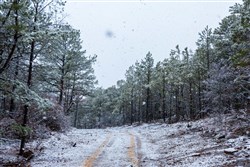 property photo for Stone Bridge Phase IV Tract 230, 5.72 acres for sale in LatimerHaskell County, Oklahoma