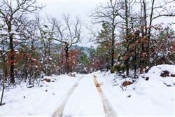 property photo for Stone Bridge Phase IV Tract 231, 10.33 acres for sale in LatimerHaskell County, Oklahoma