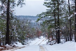 property photo for Stone Bridge Phase IV Tract 231, 10.33 acres for sale in LatimerHaskell County, Oklahoma