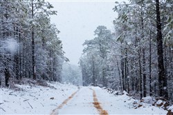 property photo for Stone Bridge Phase IV Tract 232, 8.34 acres for sale in LatimerHaskell County, Oklahoma