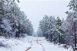 property photo for Stone Bridge Phase IV Tract 233, 8.49 acres for sale in LatimerHaskell County, Oklahoma