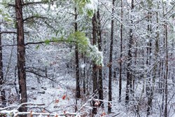 property photo for Stone Bridge Phase IV Tract 233, 8.49 acres for sale in LatimerHaskell County, Oklahoma