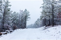 property photo for Stone Bridge Phase IV Tract 233, 8.49 acres for sale in LatimerHaskell County, Oklahoma