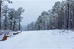 property photo for Stone Bridge Phase IV Tract 233, 8.49 acres for sale in LatimerHaskell County, Oklahoma