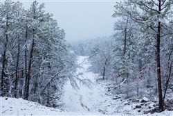 property photo for Stone Bridge Phase IV Tract 233, 8.49 acres for sale in LatimerHaskell County, Oklahoma