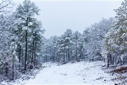 property photo for Stone Bridge Phase IV Tract 235, 6.84 acres for sale in LatimerHaskell County, Oklahoma