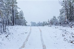 property photo for Stone Bridge Phase IV Tract 235, 6.84 acres for sale in LatimerHaskell County, Oklahoma