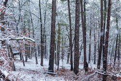 property photo for Stone Bridge Phase IV Tract 235, 6.84 acres for sale in LatimerHaskell County, Oklahoma