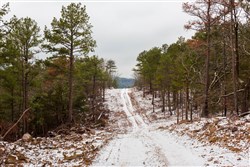 property photo for Stone Bridge Phase IV Tract 236, 6.09 acres for sale in LatimerHaskell County, Oklahoma