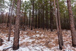 property photo for Stone Bridge Phase IV Tract 236, 6.09 acres for sale in LatimerHaskell County, Oklahoma