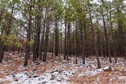 property photo for Stone Bridge Phase IV Tract 236, 6.09 acres for sale in LatimerHaskell County, Oklahoma
