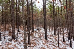 property photo for Stone Bridge Phase IV Tract 236, 6.09 acres for sale in LatimerHaskell County, Oklahoma