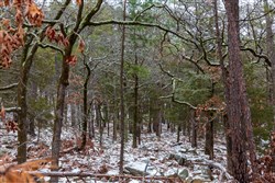 property photo for Stone Bridge Phase IV Tract 237, 5.75 acres for sale in LatimerHaskell County, Oklahoma