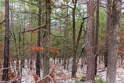 property photo for Stone Bridge Phase IV Tract 237, 5.75 acres for sale in LatimerHaskell County, Oklahoma