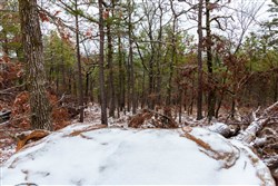property photo for Stone Bridge Phase IV Tract 238, 6.18 acres for sale in LatimerHaskell County, Oklahoma