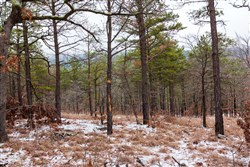property photo for Stone Bridge Phase IV Tract 238, 6.18 acres for sale in LatimerHaskell County, Oklahoma