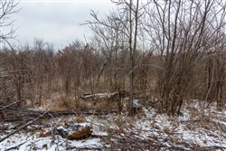 property photo for Stone Bridge Phase IV Tract 240, 7.7 acres for sale in LatimerHaskell County, Oklahoma
