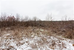 property photo for Stone Bridge Phase IV Tract 240, 7.7 acres for sale in LatimerHaskell County, Oklahoma